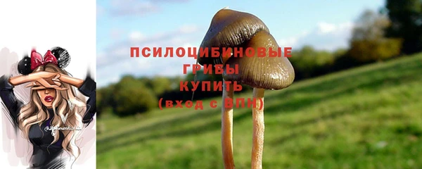 метадон Богородицк