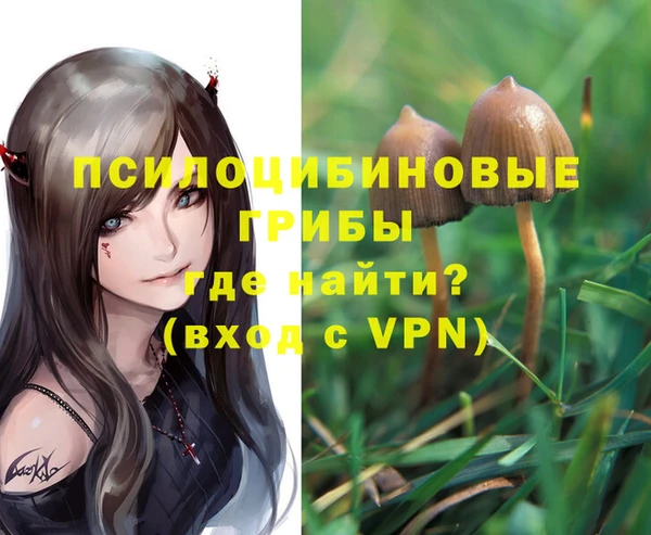 метадон Богородицк