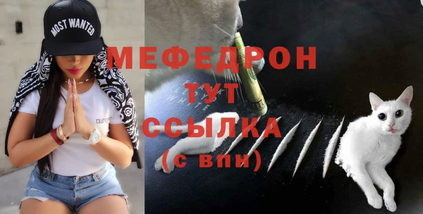 тгк Богданович
