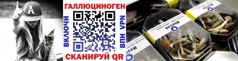 Галлюциногенные грибы прущие грибы  Гусев 