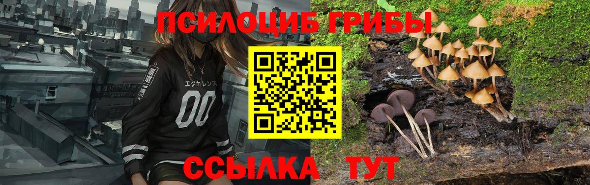 Галлюциногенные грибы Cubensis Гусев
